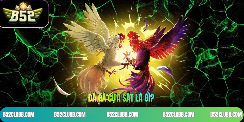 Đá Gà Cựa Sắt Là Gì?